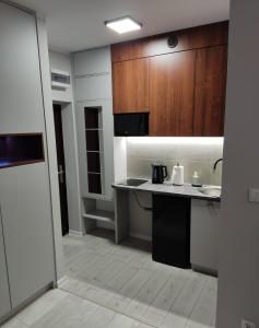 a kitchen with a counter and wooden cabinets at Apartament Curie in Zabrze
