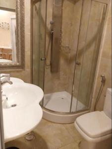 a bathroom with a shower and a toilet and a sink at Juman B&B in Seeb