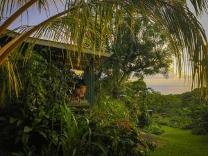 a house in the jungle with a view of the ocean at Gingerhill Farm Retreat in Kealakekua