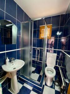 a blue tiled bathroom with a toilet and a sink at Apartments Bozovic in Žabljak