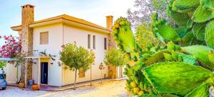 Сад в Avatonblue Villa Nafplio