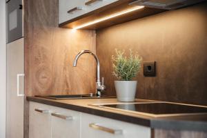 a kitchen with a sink and a potted plant at Apartments Roda de Ciar in Badia