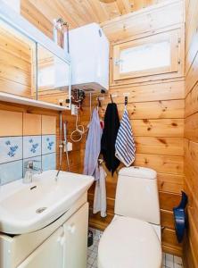 a bathroom with a white toilet and a sink at Countryside riverside cabin for both winter and summer for max 16 persons in Janakkala