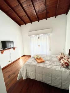 a bedroom with a bed and a television in it at Complejo Alberdi depto 8 in Tandil