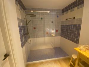 uma casa de banho com um chuveiro com azulejos azuis em ESPACIO19 em Córdoba