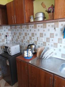 cocina con encimera y microondas en Devine 1 bedroom on Moi Southlake road en Naivasha