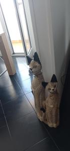 dos gatos vestidos con disfraces sentados en el suelo en Appartamento Terrazza Bella Vista, en Cisternino