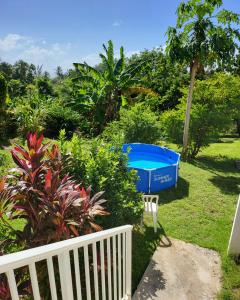 a garden with a blue tub in the grass at ALLEE DU MANOIR GÎTES in Capesterre-Belle-Eau