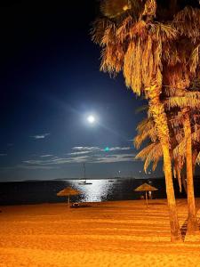 a beach with two palm trees and the moon at studio cabine. Terrasse in Le Lavandou