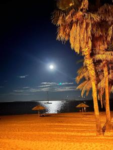plaża z dwoma palmami i księżycem w obiekcie studio cabine. Terrasse w mieście Le Lavandou +9 zdjęć