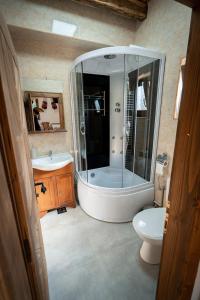 een badkamer met een douche, een wastafel en een toilet bij Casa Veche Breb in Breb
