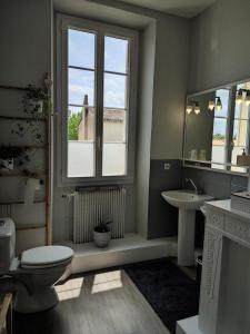 a bathroom with a toilet and a sink and a window at Céline et José in Cubzac-les-Ponts +54 photos