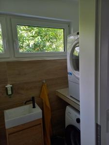 eine kleine Küche mit einer Spüle und einer Mikrowelle in der Unterkunft Ferienhaus Eckernfeld Bremerhaven in Bremerhaven