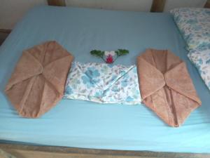 a blue bed with two pillows on it at Cabinas jugle jause in Drake