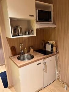 uma pequena cozinha com um lavatório e um micro-ondas em Cabane Jacomeli Genève em Collonges-sous-Salève