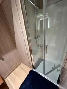 um chuveiro com uma porta de vidro num quarto em Cabane Jacomeli Genève em Collonges-sous-Salève