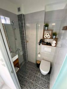 a bathroom with a shower and a toilet and a sink at ΑΘΗΝΑ HOME in Ioannina