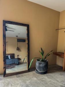 Foto sihtkohas Tulum asuva majutusasutuse XscapeTulum galeriist