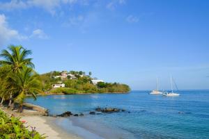 a beach with palm trees and boats in the water at Soley'Caraibes III in Les Trois-Îlets