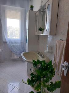 Un baño con lavabo, espejo y una planta. en Conny's Green House, en Fossacesia