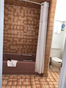 a bathroom with a toilet and a shower curtain at Elevation Lodge in South Lake Tahoe