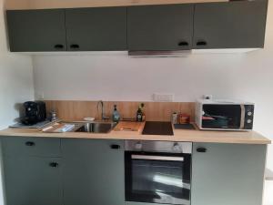 a kitchen with a counter with a microwave and a sink at Le Gîte Du Jardin in Colleville
