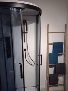 a glass shower in a room with a ladder at Le Gîte Du Jardin in Colleville +11 photos