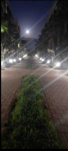 a city street at night with a patch of grass at Cosy appartement à Ain Diab beach in Casablanca