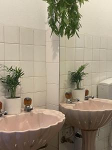 two sinks in a bathroom with two potted plants at Nina's Stay Hostel in Charneca +26 photos