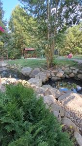 Gallery image of Vis Împlinit in Cîrţişoara