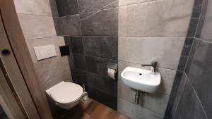 uma casa de banho com um WC e um lavatório em Apartmán Pavel em Tux