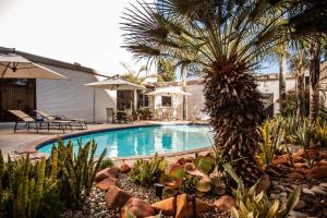 una piscina en un patio con una palmera en Garden Court Kimberley en Kimberley