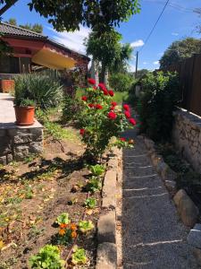 Jardín al aire libre en Finca LaGloria