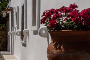 Fotografie z fotogalerie ubytování B&b Cinque Stalle v destinaci Monopoli