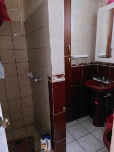 a small bathroom with a shower and a sink at Acogedor departamento in Loja