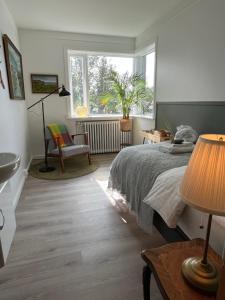 een slaapkamer met een bed, een raam en een stoel bij Flóki by Guesthouse Reykjavík in Reykjavík
