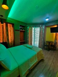 a bedroom with a large bed with a green ceiling at HOTEL LA BELLA Y EL LEON in Huánuco