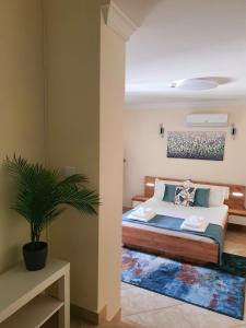 sypialnia z łóżkiem i doniczką w obiekcie Casa da Vera w Faro