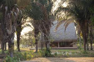 Vườn quanh SAVANNA ORINOQUÍA LODGE