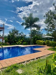 una piscina con una palmera en el fondo en Cabaña entre las montañas Tierra Mia - Eje Cafetero, en Manizales