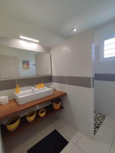 un baño con lavabo y espejo en Ti kaz an NOU **, en Sainte-Rose