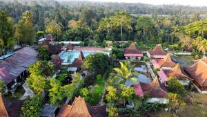 eine Luftansicht eines Hauses mit Pool und Bäumen in der Unterkunft Kampoeng Joglo Ijen in Banyuwangi