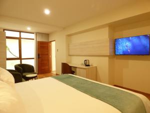 Habitación de hotel con cama y TV de pantalla plana. en Muña Hotel, en Talavera
