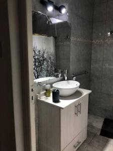 een badkamer met een witte wastafel en een spiegel bij Patio! Parrilla! Cochera! 2 habitaciones in Godoy Cruz