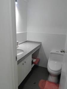 利馬的住宿－Hermoso departamento céntrico con balcón - P.Libre，浴室配有白色卫生间和盥洗盆。