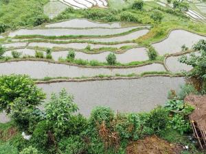 Foto sihtkohas Pokhara asuva majutusasutuse GAUTAM GARDEN GUEST HOUSE galeriist