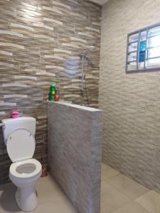 a bathroom with a toilet and a shower at A&N appartementen in Lelydorp