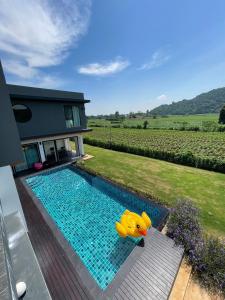 uma piscina com um pato de borracha amarelo num quintal em Chacha Tyme Pool Villa Khaoyai em Wangkata