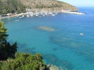 Táj Show holiday homes közelében