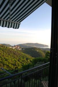 Táj Show holiday homes közelében